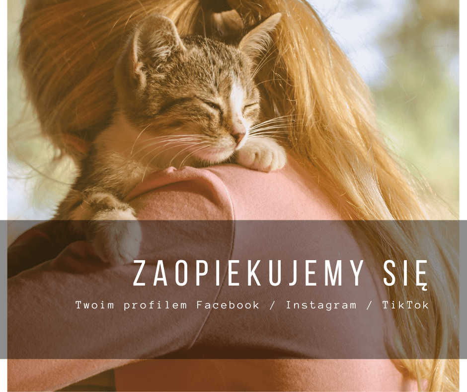 Zaopiekujemy się socialmediami